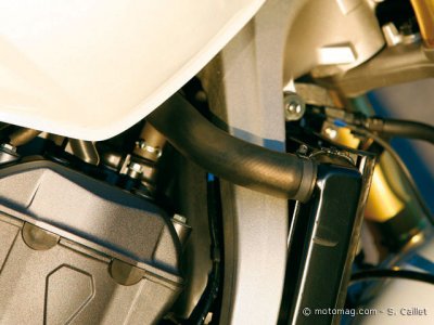 Honda CB 600 Hornet : esthétique