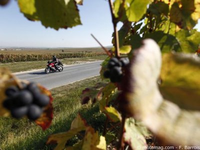 Balade Champagne-Ardenne : entre les vignes