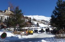 Les Marmottes sous la neige et le soleil dans la (...)