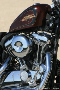 Essai Harley XL 1200 « 72 » : sensations assurées