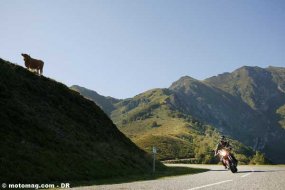 Encadrés pratiques : Hautes-Pyrénées