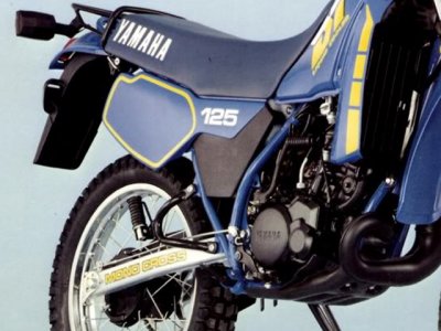 Yamaha 125 DTLC : moteur vivant