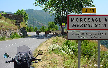 Balade en Corse : Moraglia