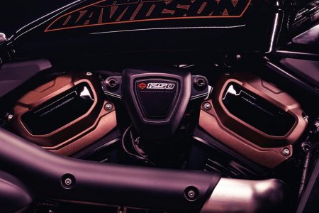 Harley-Davidson 1250 Custom 2022